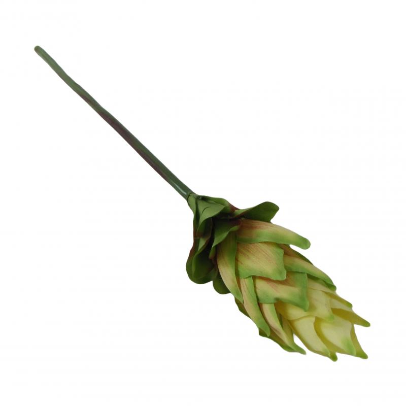 Kurkuma sztuczna 50cm